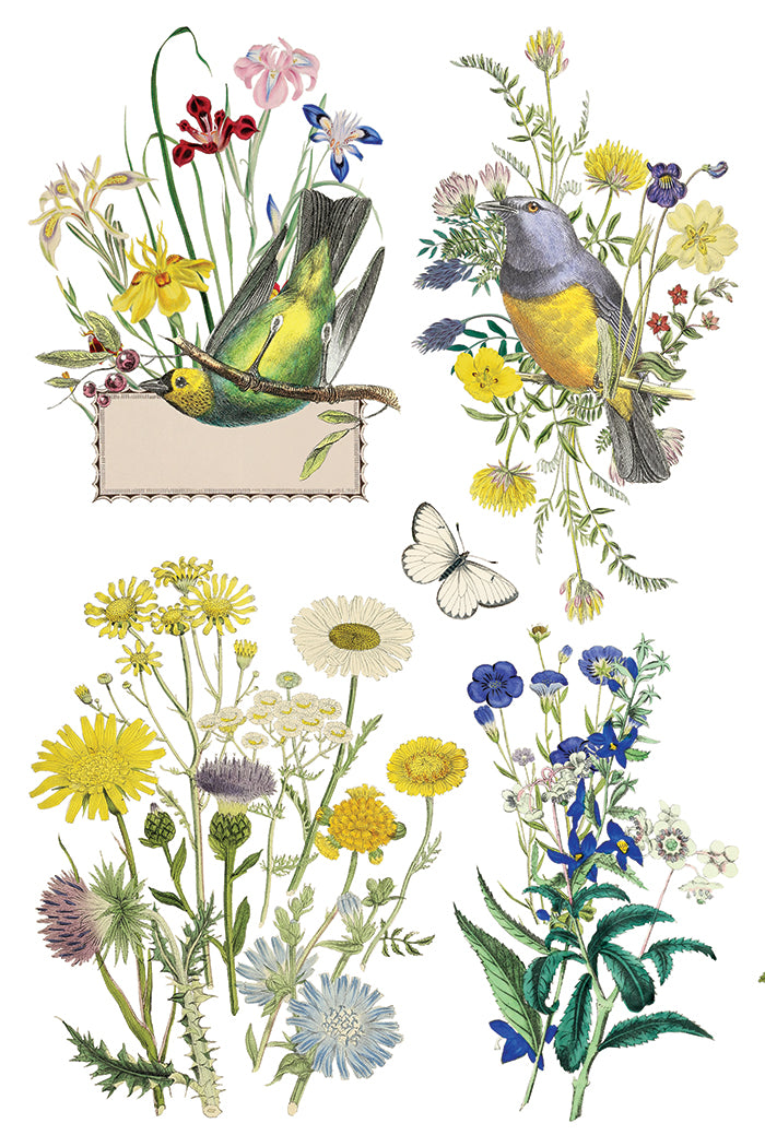 Flora Greca IOD 8x12 Transfer (8 Sheets)