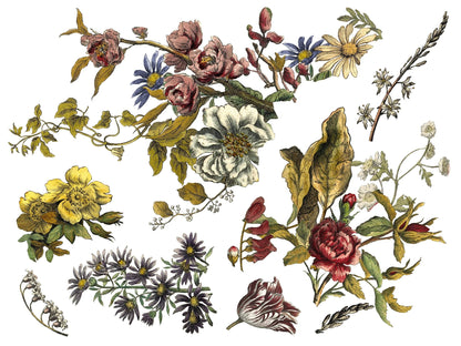 Floral Anthology IOD Transfer 12x16 Pad (4 sheets)
