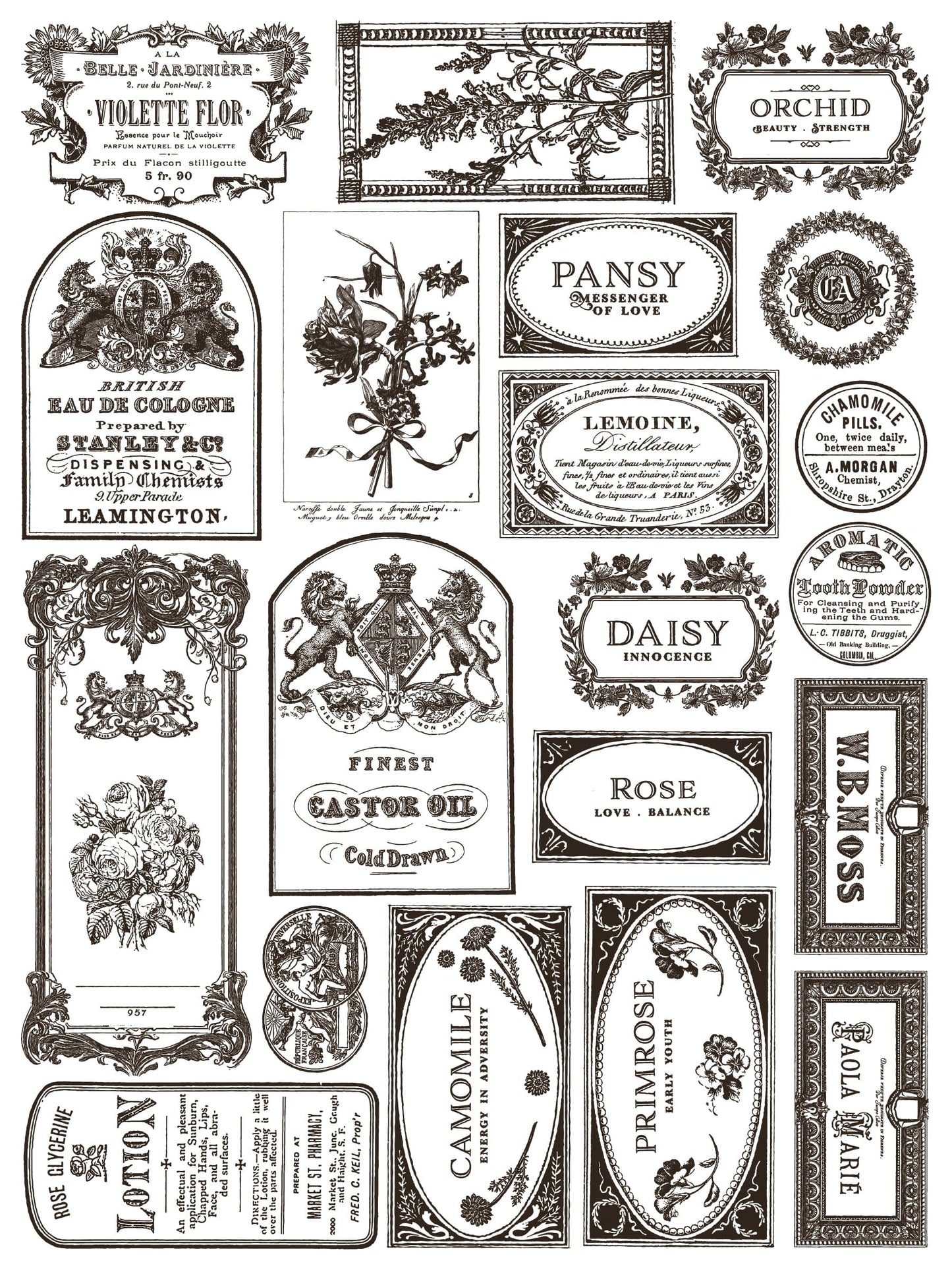 Floriography IOD Paint Inlay 12x16 (8 Sheets)