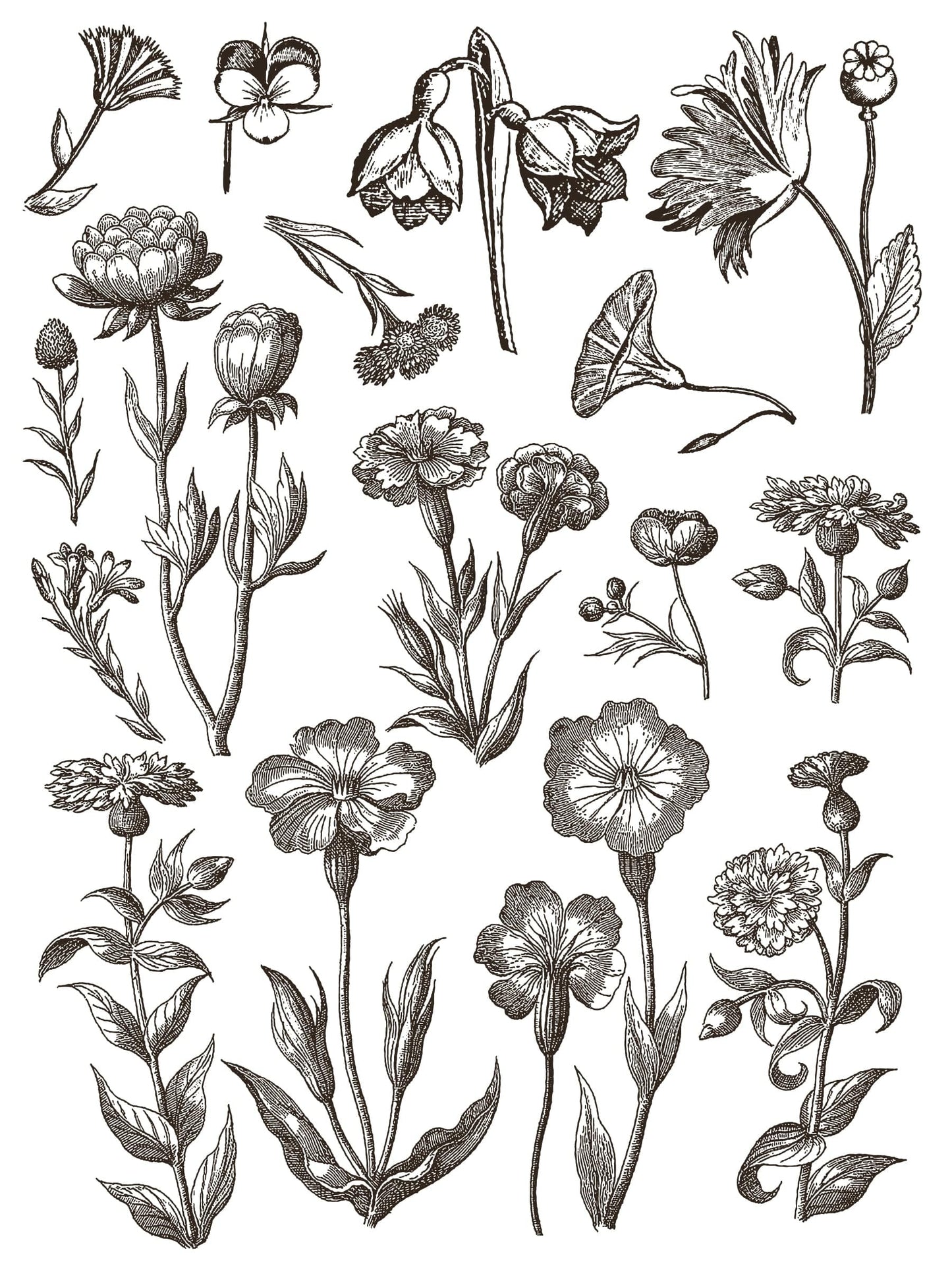 Floriography IOD Paint Inlay 12x16 (8 Sheets)