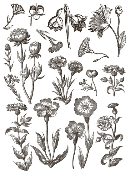 Floriography IOD Paint Inlay 12x16 (8 Sheets)