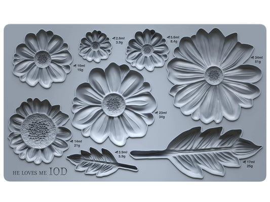 He Loves Me IOD Mould
