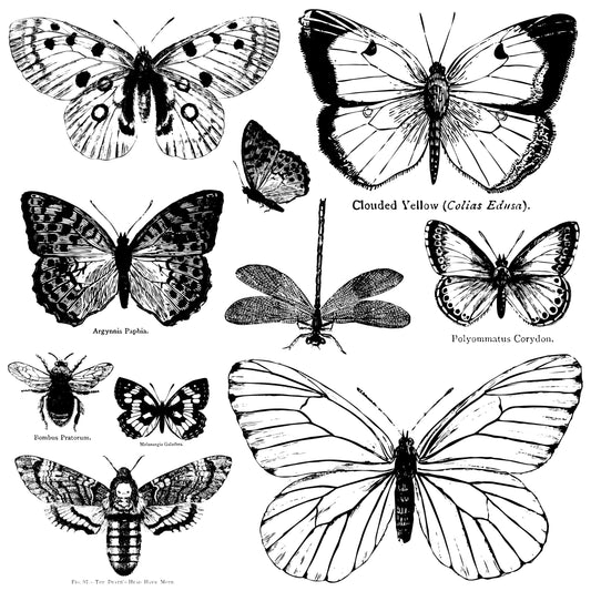 Butterflies 12x12 IOD Stamp (1 sheet)