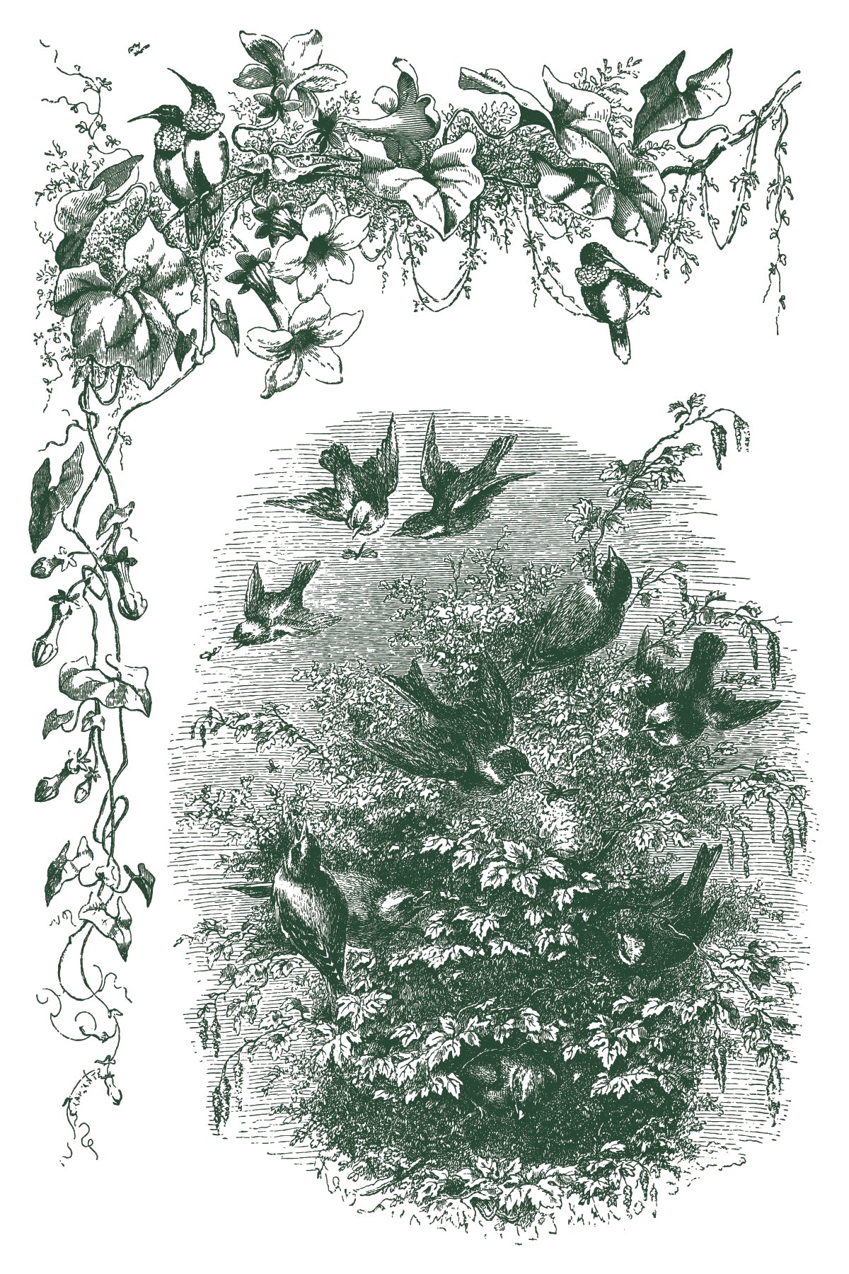 IOD Little Lark Paint Inlay | FIRST EVER 8x12 Beginner-Friendly Decor Inlay by Iron Orchid Designs | Vintage Birds & Botanical Designs