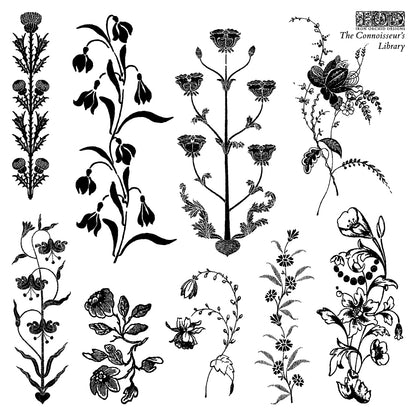 Connoisseur’s Library IOD Stamp | 6x6 Decor Stamp Set by Iron Orchid Designs | Vintage Books, Botanical & Label Designs