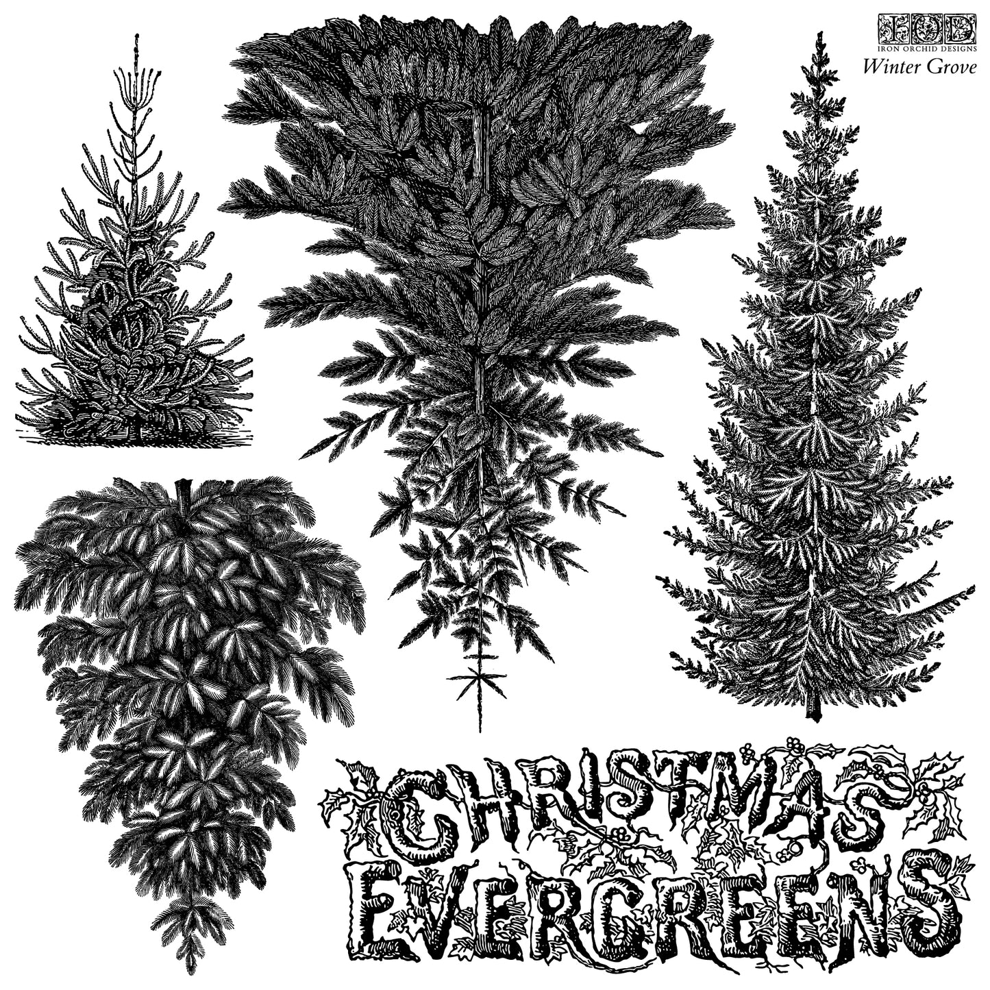 Winter Grove IOD Stamp | 12x12 Evergreen Tree Decor Stamp Sheet by Iron Orchid Designs | Woodland Christmas Background Stamp with Masks