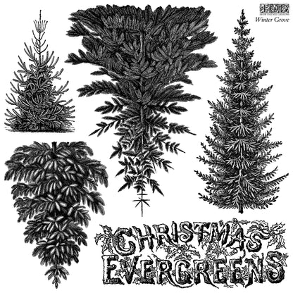 Winter Grove IOD Stamp | 12x12 Evergreen Tree Decor Stamp Sheet by Iron Orchid Designs | Woodland Christmas Background Stamp with Masks