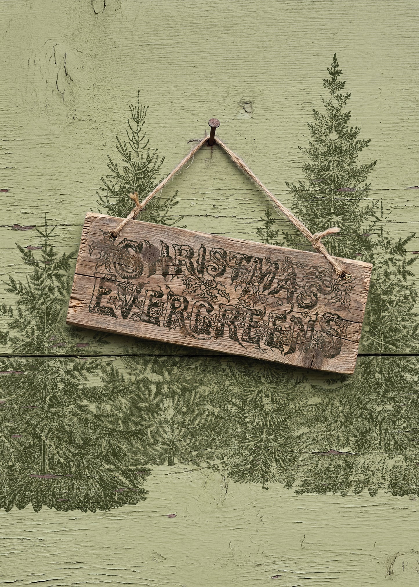 Winter Grove IOD Stamp | 12x12 Evergreen Tree Decor Stamp Sheet by Iron Orchid Designs | Woodland Christmas Background Stamp with Masks