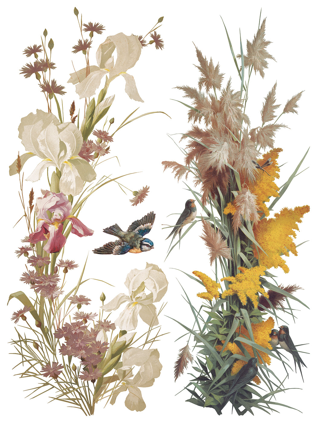 Flowers by the Poets IOD Transfer | 8 Sheet Large Decor Transfer by Iron Orchid Designs | Vintage Floral, Birds & Botanical Designs