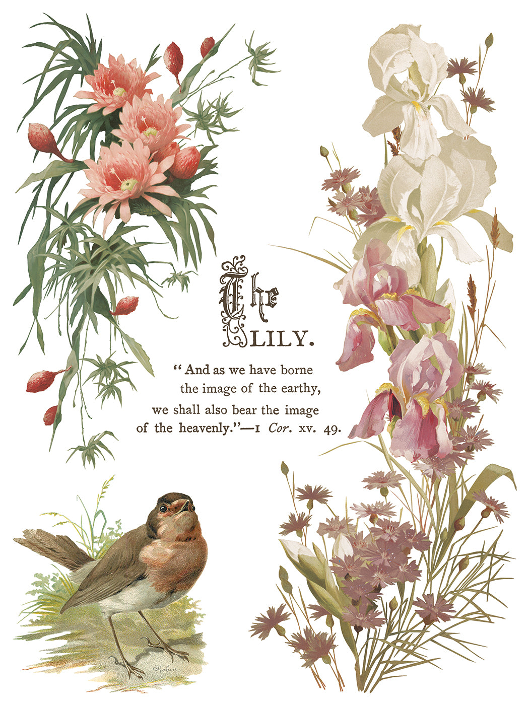 Flowers by the Poets IOD Transfer | 8 Sheet Large Decor Transfer by Iron Orchid Designs | Vintage Floral, Birds & Botanical Designs
