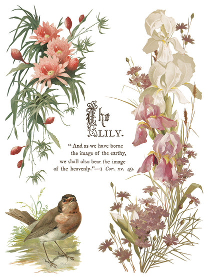 Flowers by the Poets IOD Transfer | 8 Sheet Large Decor Transfer by Iron Orchid Designs | Vintage Floral, Birds & Botanical Designs