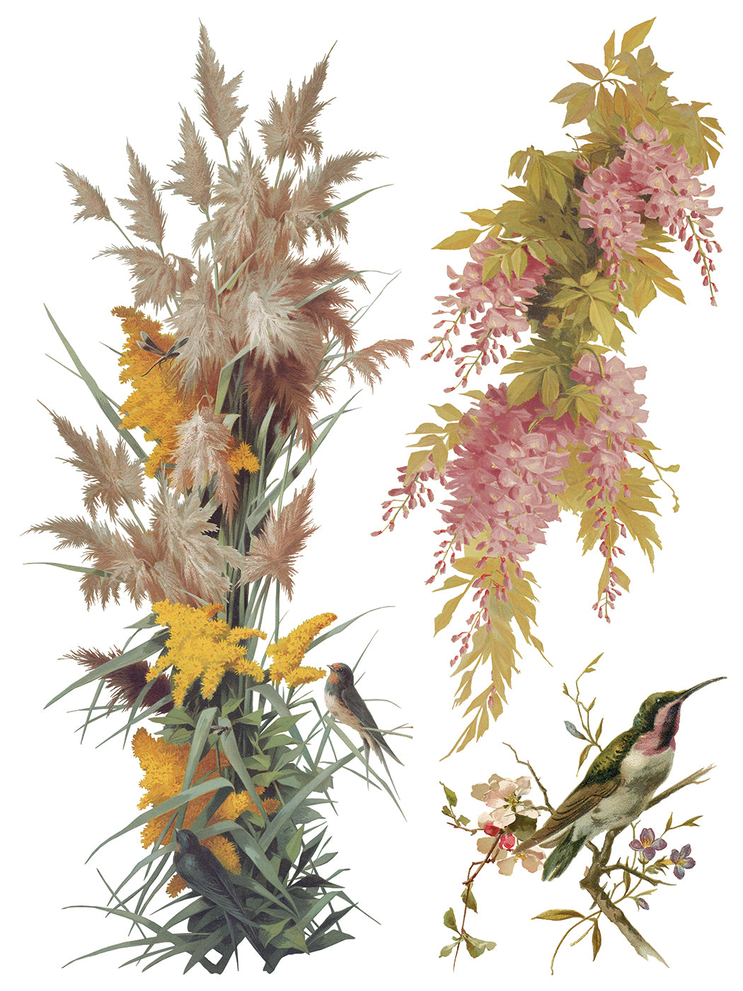 Flowers by the Poets IOD Transfer | 8 Sheet Large Decor Transfer by Iron Orchid Designs | Vintage Floral, Birds & Botanical Designs