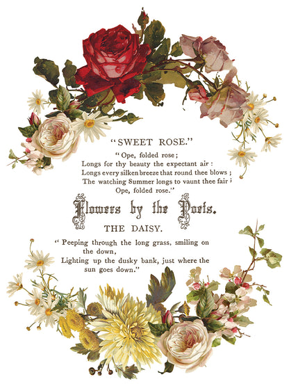 Flowers by the Poets IOD Transfer | 8 Sheet Large Decor Transfer by Iron Orchid Designs | Vintage Floral, Birds & Botanical Designs