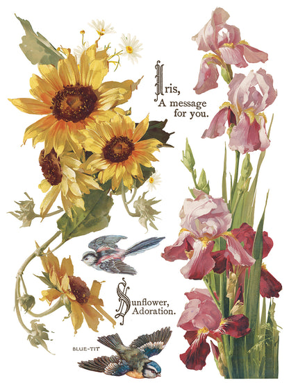 Flowers by the Poets IOD Transfer | 8 Sheet Large Decor Transfer by Iron Orchid Designs | Vintage Floral, Birds & Botanical Designs