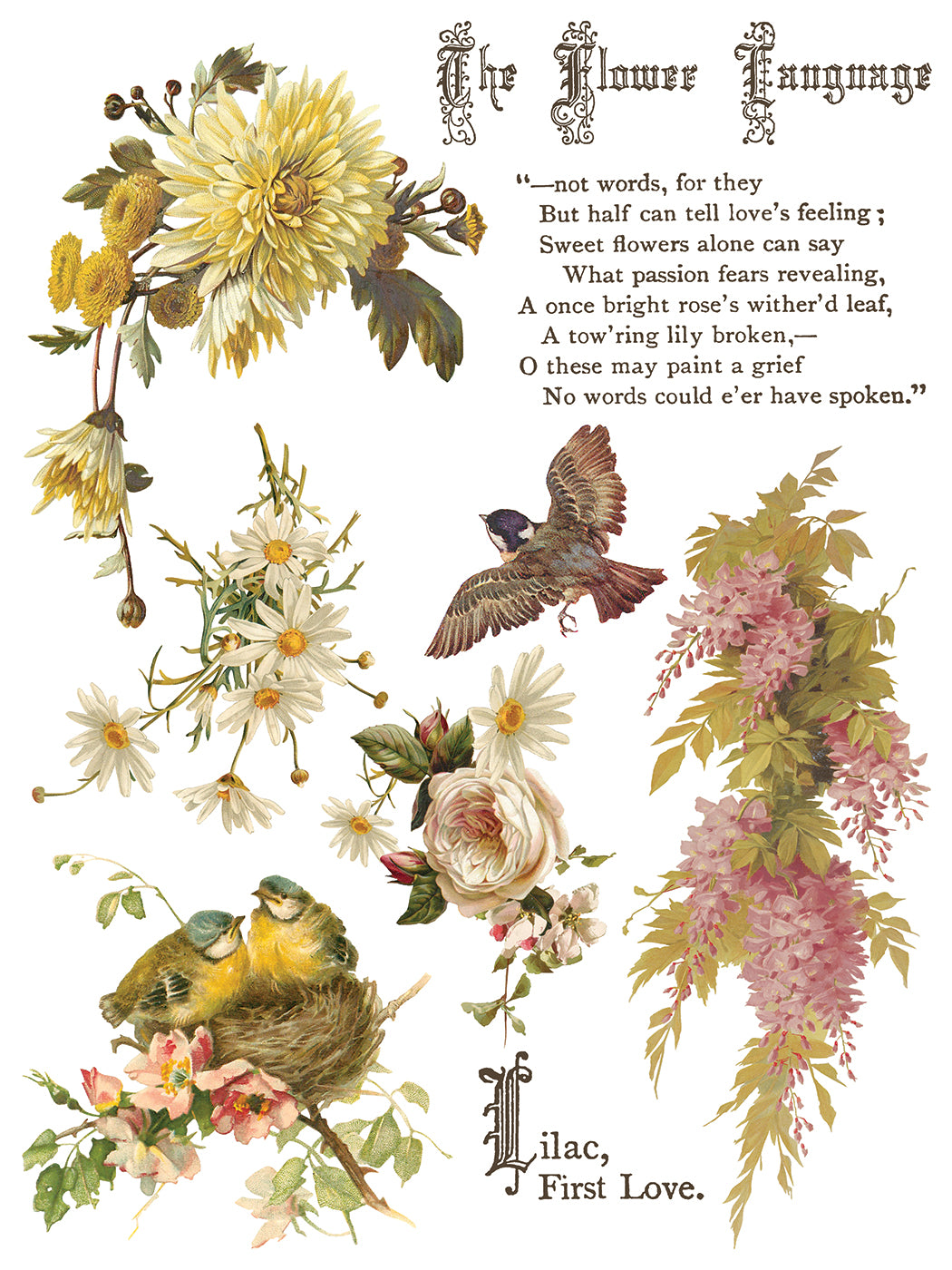 Flowers by the Poets IOD Transfer | 8 Sheet Large Decor Transfer by Iron Orchid Designs | Vintage Floral, Birds & Botanical Designs