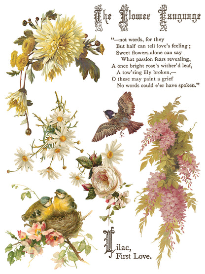 Flowers by the Poets IOD Transfer | 8 Sheet Large Decor Transfer by Iron Orchid Designs | Vintage Floral, Birds & Botanical Designs