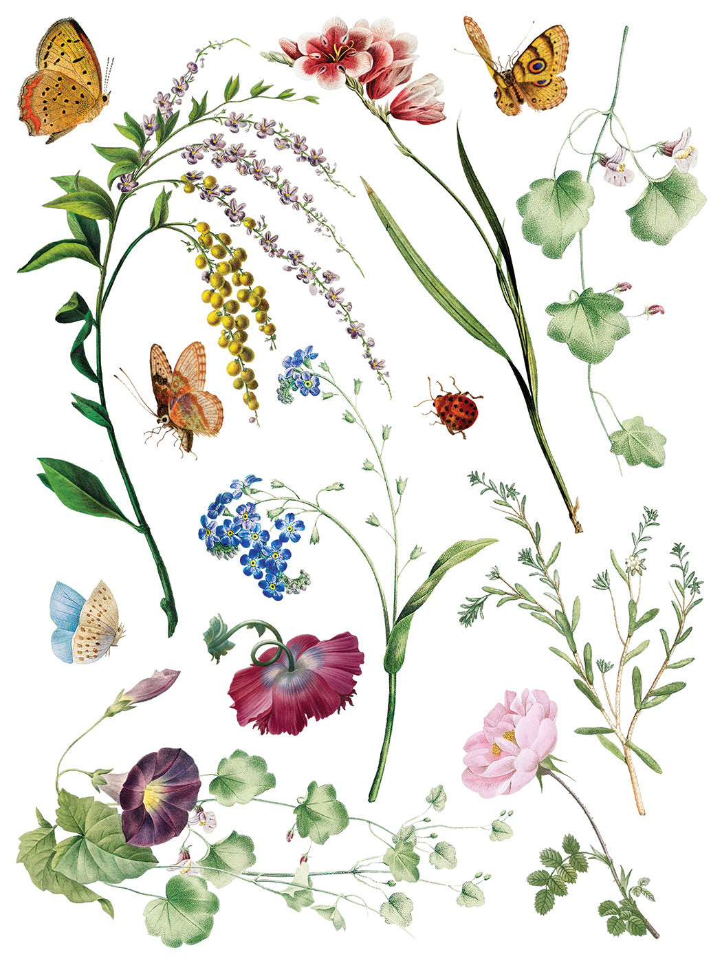 IOD Marché des Fleurs Transfer | Large 8 Sheet Decor Transfer by Iron Orchid Designs | Vintage French Floral & Botanical Designs
