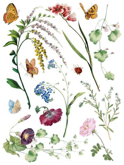 IOD Marché des Fleurs Transfer | Large 8 Sheet Decor Transfer by Iron Orchid Designs | Vintage French Floral & Botanical Designs