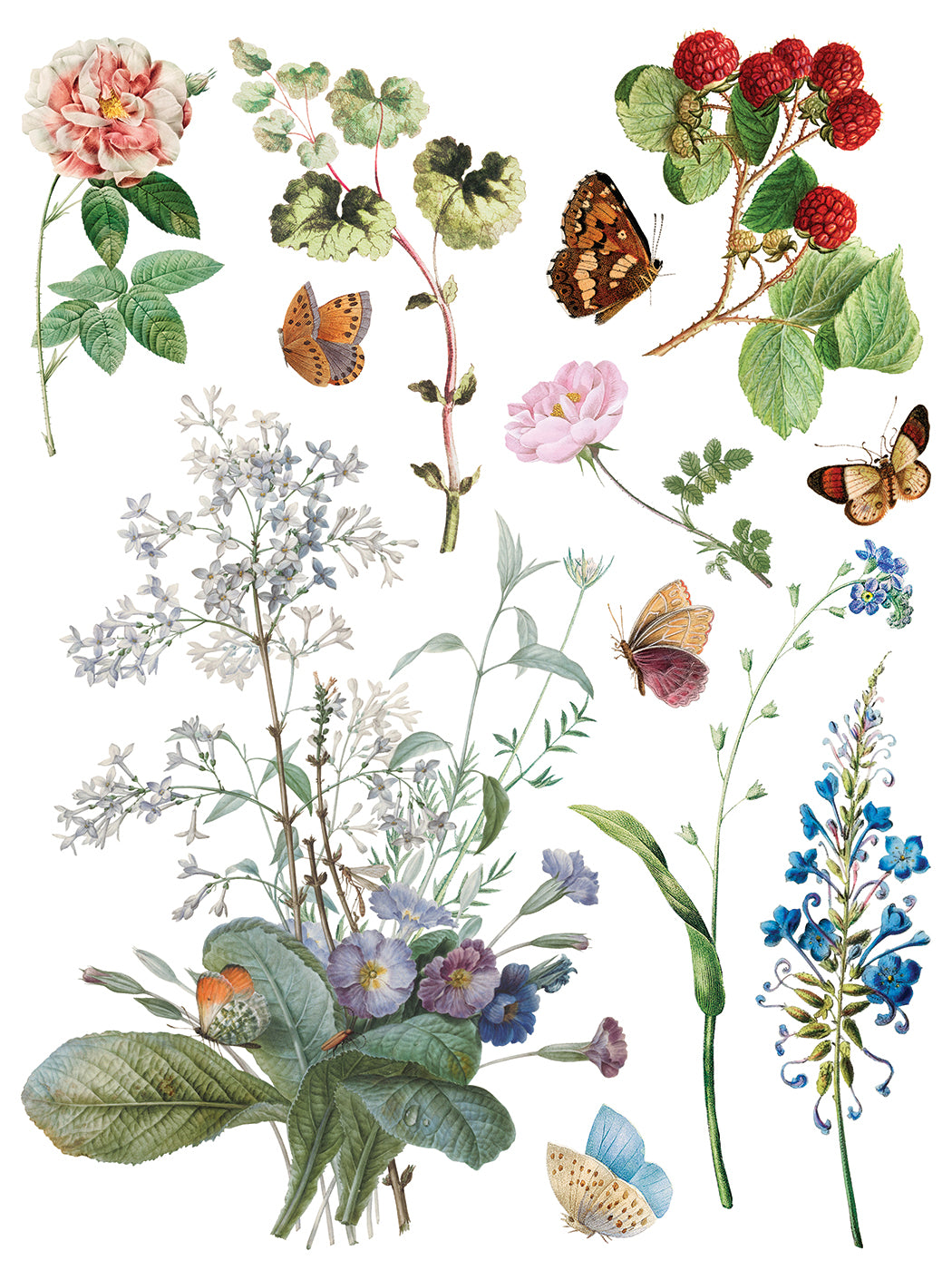 IOD Marché des Fleurs Transfer | Large 8 Sheet Decor Transfer by Iron Orchid Designs | Vintage French Floral & Botanical Designs