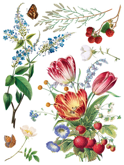 IOD Marché des Fleurs Transfer | Large 8 Sheet Decor Transfer by Iron Orchid Designs | Vintage French Floral & Botanical Designs