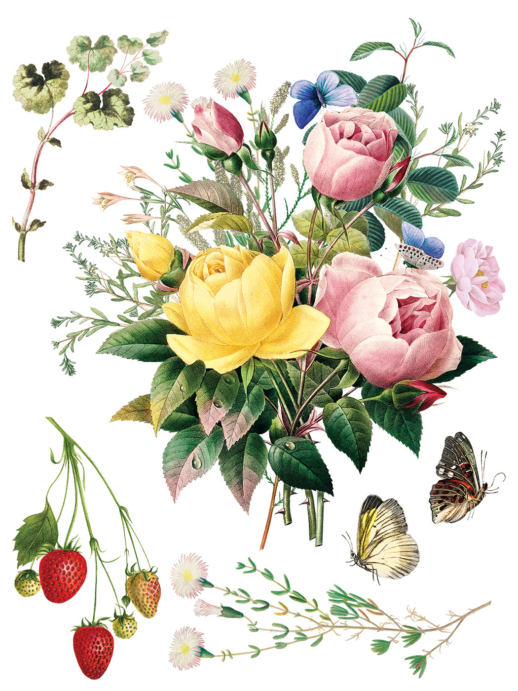 IOD Marché des Fleurs Transfer | Large 8 Sheet Decor Transfer by Iron Orchid Designs | Vintage French Floral & Botanical Designs