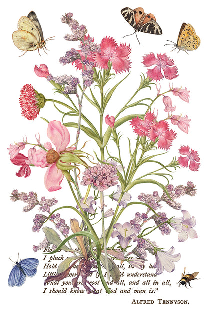 IOD Primrose Isle Transfer | 8-8"x12" Sheet Decor Transfer by Iron Orchid Designs | Vintage Wildflowers, Botanical & Cottage Garden Designs