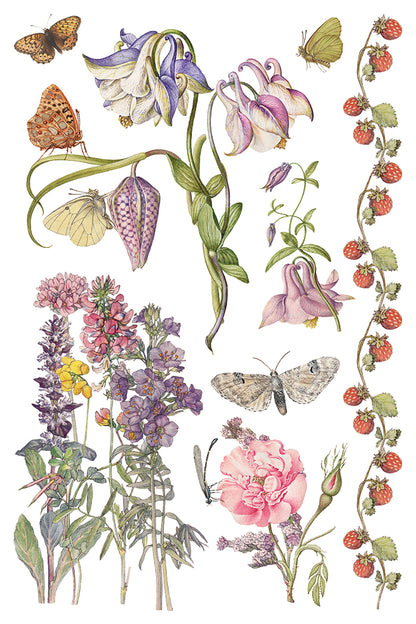 IOD Primrose Isle Transfer | 8-8"x12" Sheet Decor Transfer by Iron Orchid Designs | Vintage Wildflowers, Botanical & Cottage Garden Designs