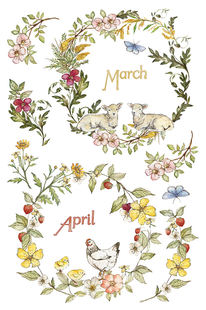 The Bramblewood Diaries IOD Transfer | 8x12 Woodland Botanical Decor Transfer by Iron Orchid Designs | Vintage Nature & Seasonal Rub-On Transfer Set (Copy)