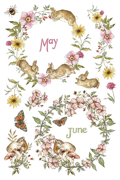 The Bramblewood Diaries IOD Transfer | 8x12 Woodland Botanical Decor Transfer by Iron Orchid Designs | Vintage Nature & Seasonal Rub-On Transfer Set (Copy)