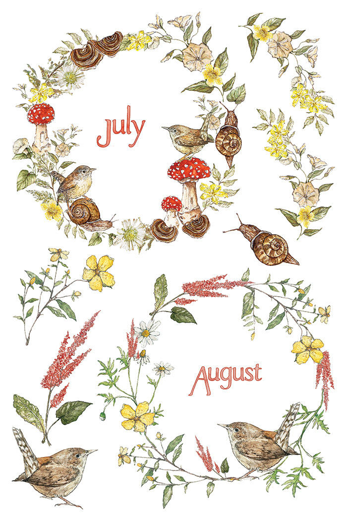 The Bramblewood Diaries IOD Transfer | 8x12 Woodland Botanical Decor Transfer by Iron Orchid Designs | Vintage Nature & Seasonal Rub-On Transfer Set (Copy)