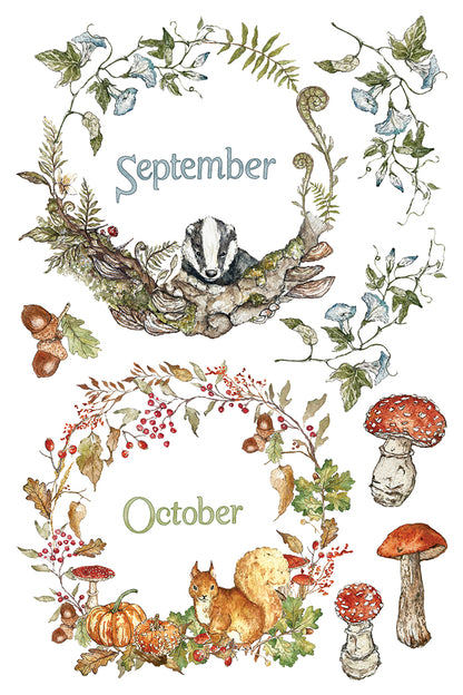 The Bramblewood Diaries IOD Transfer | 8x12 Woodland Botanical Decor Transfer by Iron Orchid Designs | Vintage Nature & Seasonal Rub-On Transfer Set (Copy)