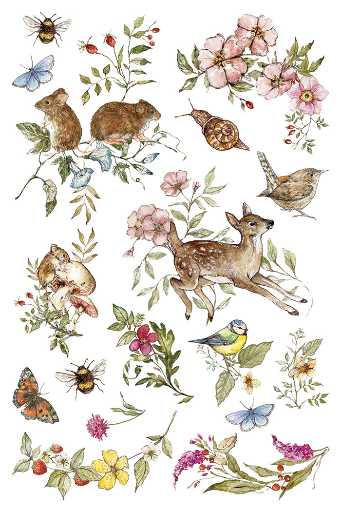 The Bramblewood Diaries IOD Transfer | 8x12 Woodland Botanical Decor Transfer by Iron Orchid Designs | Vintage Nature & Seasonal Rub-On Transfer Set (Copy)