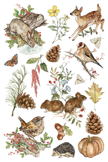 The Bramblewood Diaries IOD Transfer | 8x12 Woodland Botanical Decor Transfer by Iron Orchid Designs | Vintage Nature & Seasonal Rub-On Transfer Set (Copy)