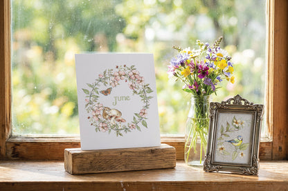 The Bramblewood Diaries IOD Transfer | 8x12 Woodland Botanical Decor Transfer by Iron Orchid Designs | Vintage Nature & Seasonal Rub-On Transfer Set (Copy)