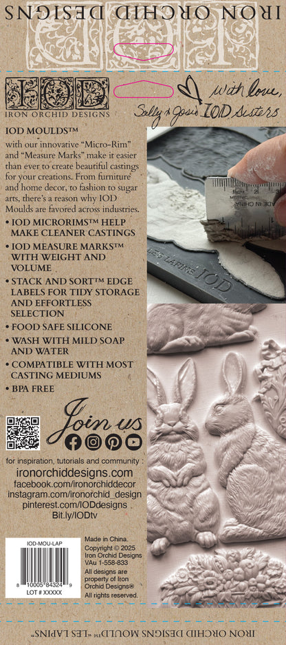 Les Lapins 6x10 IOD Mould