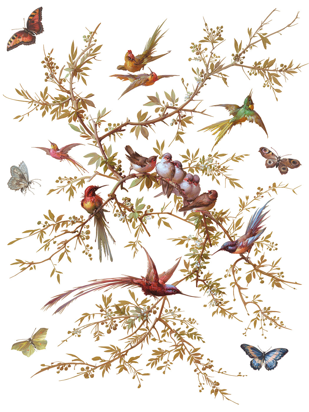 Madeleine IOD 12x16 Transfer (8 Sheets)