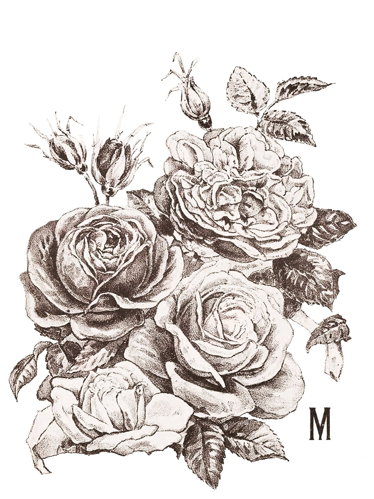 May's Roses IOD Transfer 12x16 (4 Sheets)