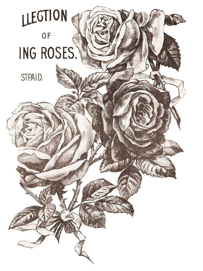 May's Roses IOD Transfer 12x16 (4 Sheets)