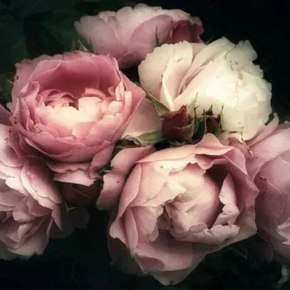 Mint By Michelle Decoupage Paper Moody Florals - A1 Size Large Decoupage Paper