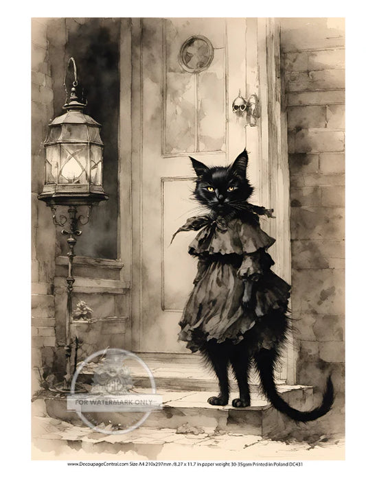 A4 Porch Cat Decoupage Rice Paper (DC431)