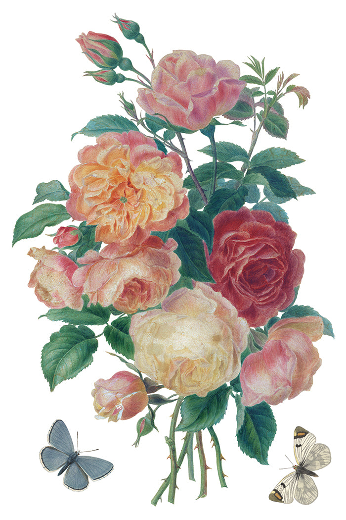 Saint Ouen IOD 8x12 Transfer (8 Sheets)