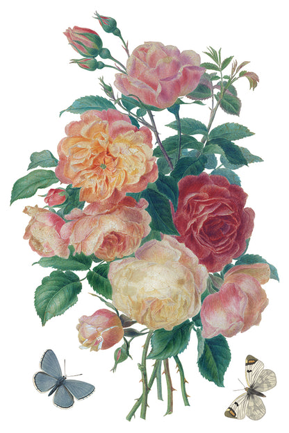 Saint Ouen IOD 8x12 Transfer (8 Sheets)