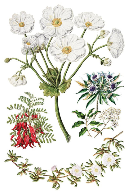 Sarah Featon's Botanicals IOD Transfer 8x12 Pad (8 sheets)