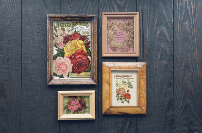 Seed Catalogue IOD Transfer 8x12 Pad (8 sheets)