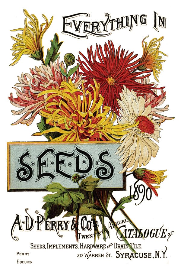 Seed Catalogue IOD Transfer 8x12 Pad (8 sheets)