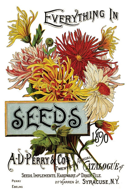 Seed Catalogue IOD Transfer 8x12 Pad (8 sheets)