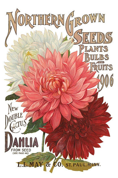 Seed Catalogue IOD Transfer 8x12 Pad (8 sheets)