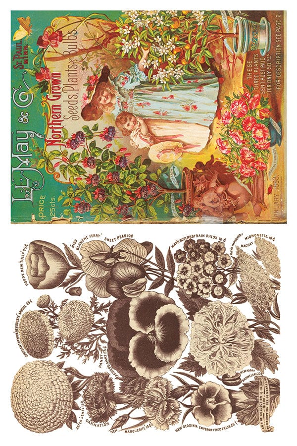 Seed Catalogue IOD Transfer 8x12 Pad (8 sheets)