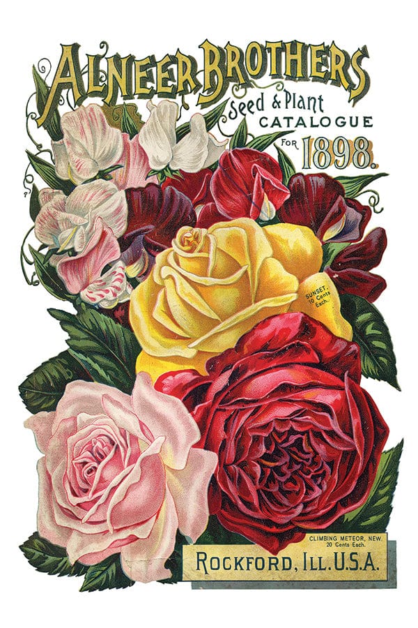 Seed Catalogue IOD Transfer 8x12 Pad (8 sheets)