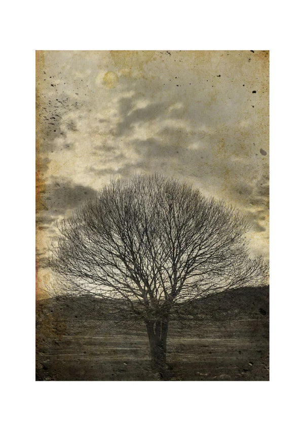 Sepia Tree Mint - 11.7" x 16.5" A3 Size Decoupage Paper - Mint by Michelle